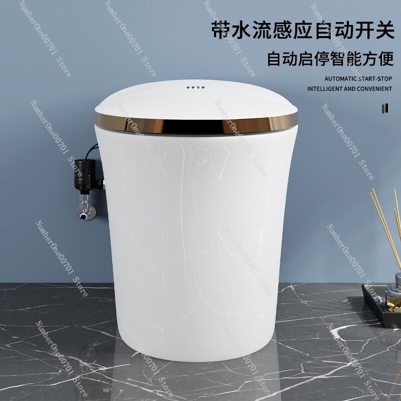 스마트 변기 부스터 펌프 자동 수압 펌프 가정용 무소음 - Home Bathroom Pressure Pump 리뷰 및 가격